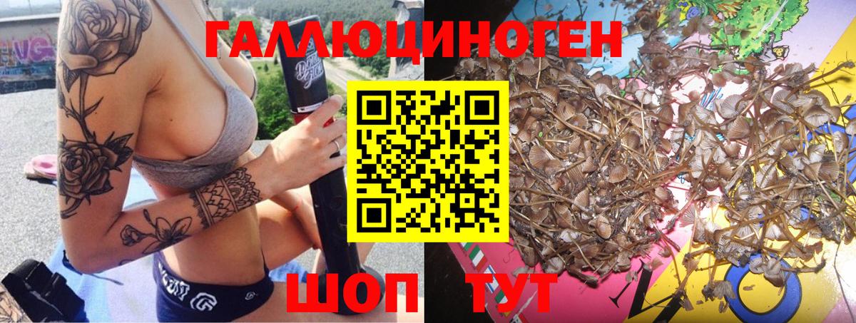 Уссурийск  Галлюциногенные грибы Psilocybine cubensis  Вход с VPN 